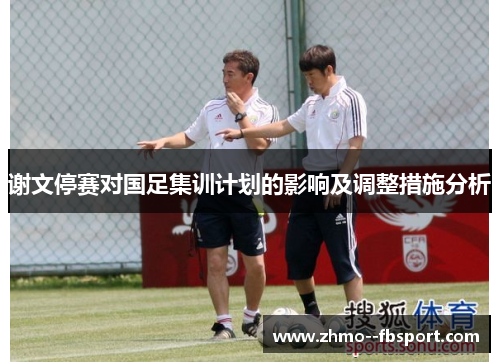 谢文停赛对国足集训计划的影响及调整措施分析