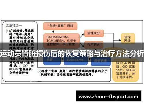 运动员肾脏损伤后的恢复策略与治疗方法分析